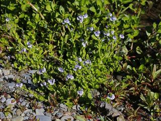 VTax4765.Ex1_.Img4_.JPG