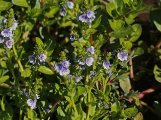VTax4765.Ex1_.Img5_.JPG