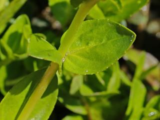 VTax4765.Ex1_.Img7_.JPG