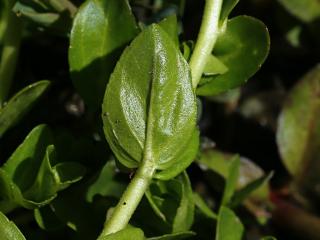 VTax4765.Ex1_.Img8_.JPG