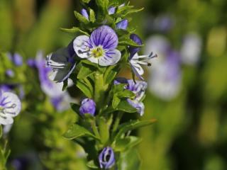 VTax4765.Ex1_.Img9_.JPG