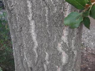 VTax4771.Ex1_.Img2_.jpg