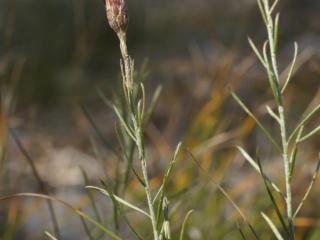 VTax4772.Ex1_.Img3_.JPG