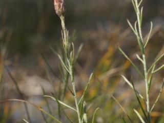 VTax4772.Ex1_.Img4_.jpg