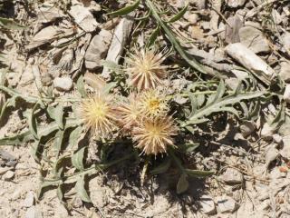 VTax4773.Ex1_.Img1_.JPG
