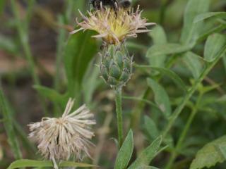 VTax4773.Ex1_.Img3_.JPG