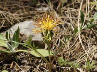 VTax4773.Ex1_.Img4_.JPG