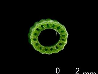 VTax4777.Ex1_.Img7_.jpg