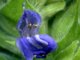 VTax4778.Ex1_.Img13.jpg