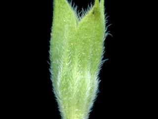 VTax4778.Ex1_.Img17.jpg