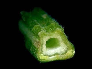 VTax4778.Ex1_.Img7_.jpg