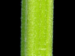 VTax4778.Ex1_.Img8_.jpg