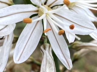 VTax3515.Ex1.Img4