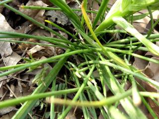VTax3548.Ex1.Img1