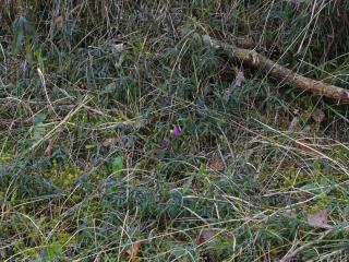 VTax1457.Ex1.Img6