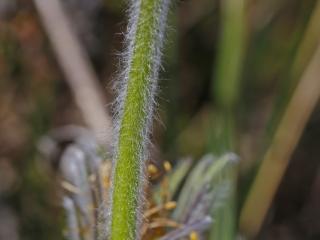 VTax195.Ex1.Img5