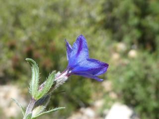 VTax2321.Ex1.Img4