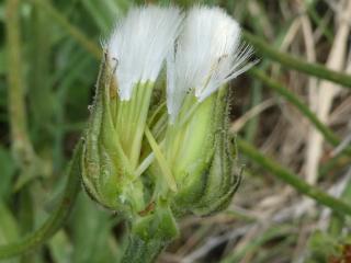 VTax3385.Ex2.Img4