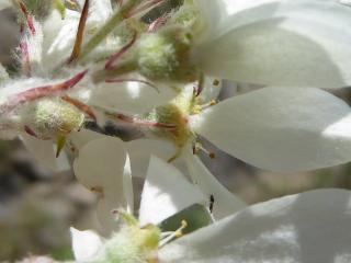 VTax509.Ex2.Img1