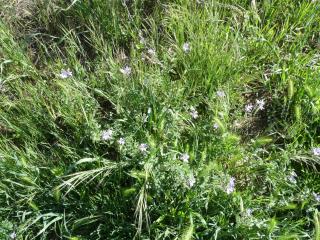 VTax1394.Ex1.Img7