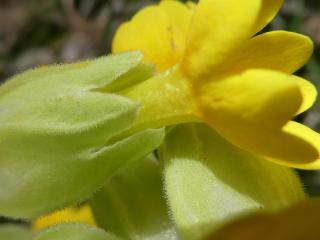 VTax2172.Ex1.Img5