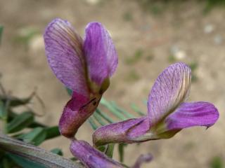 VTax642.Ex1.Img5