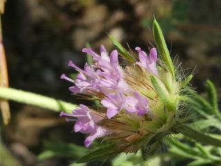VTax2926.Ex1.Img4