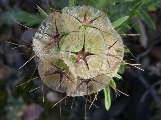 VTax2926.Ex1.Img5