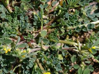 VTax868.Ex1.Img5