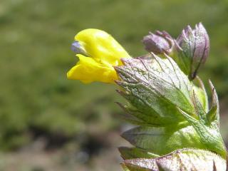 VTax2728.Ex1.Img3