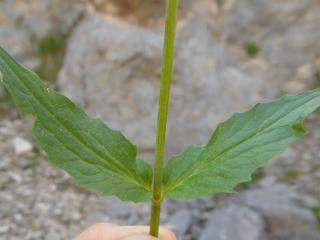 VTax2898.Ex1.Img1