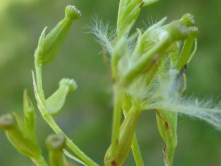 VTax2899.Ex1.Img4
