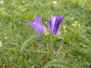 VTax2942.Ex1.Img1