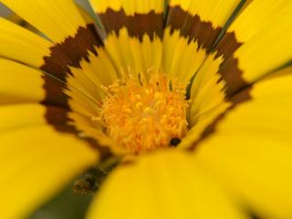 VTax2977.Ex2.Img1