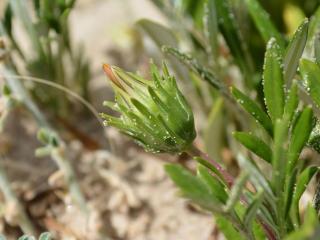 VTax2977.Ex2.Img5