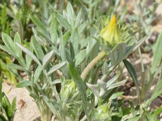 VTax2977.Ex2.Img6