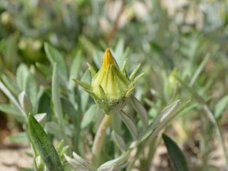 VTax2977.Ex2.Img7
