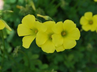 VTax1360.ExN.Img32