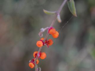  VTax2062.ExN_.Img16.jpg