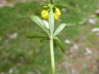 VTax261.Ex1.Img1