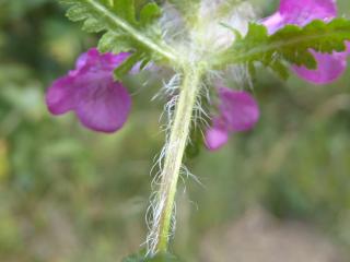 VTax2718.Ex1.Img3