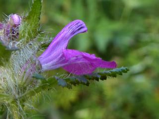 VTax2718.Ex1.Img5