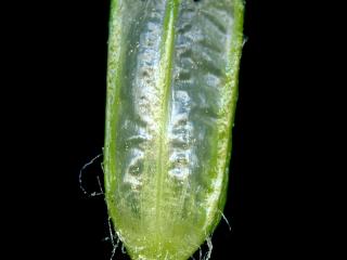 VTax2722.Ex1.Img3