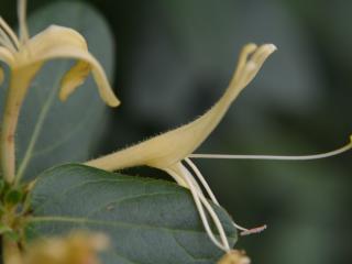 VTax2872.ExN.Img17