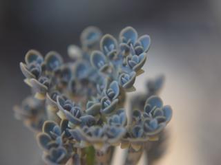 VTax296.ExN.Img12