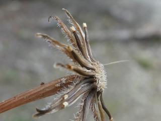 VTax3323.Ex2.Img4