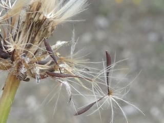 VTax3323.Ex2.Img5