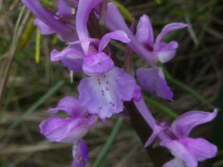 VTax4267.Ex1.Img3
