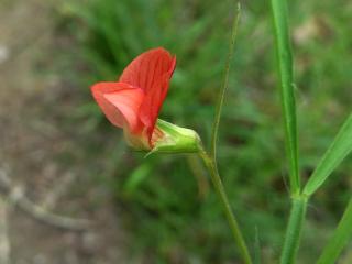 VTax686.Ex1.Img2
