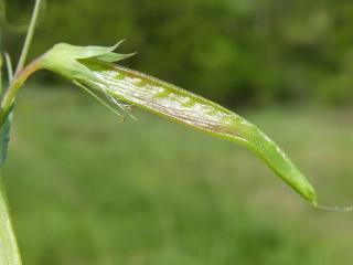 VTax686.Ex1.Img3